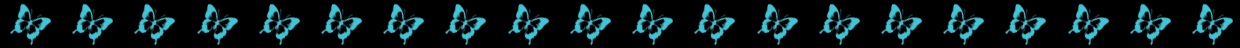 Butterflies