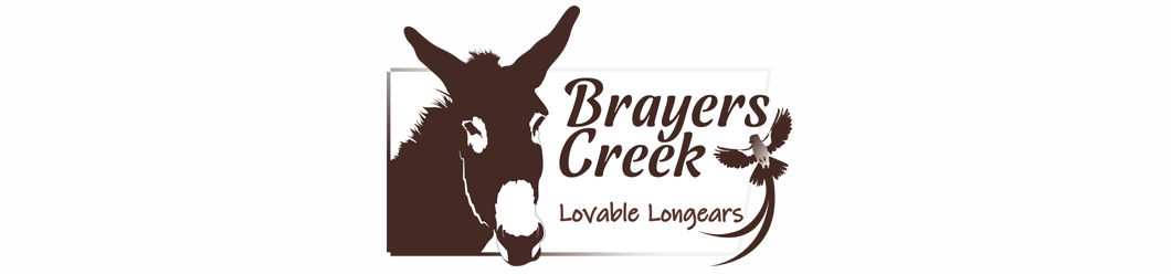 Brayers Creek - Loveable longears
